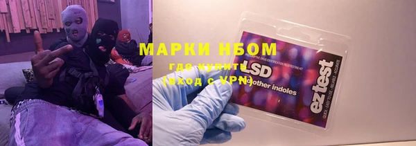 твердый Володарск